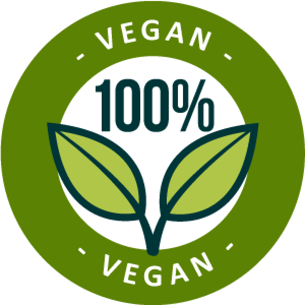 S.P.A. Hydrafluid Hydratant Nachfüllspender mit 50ml